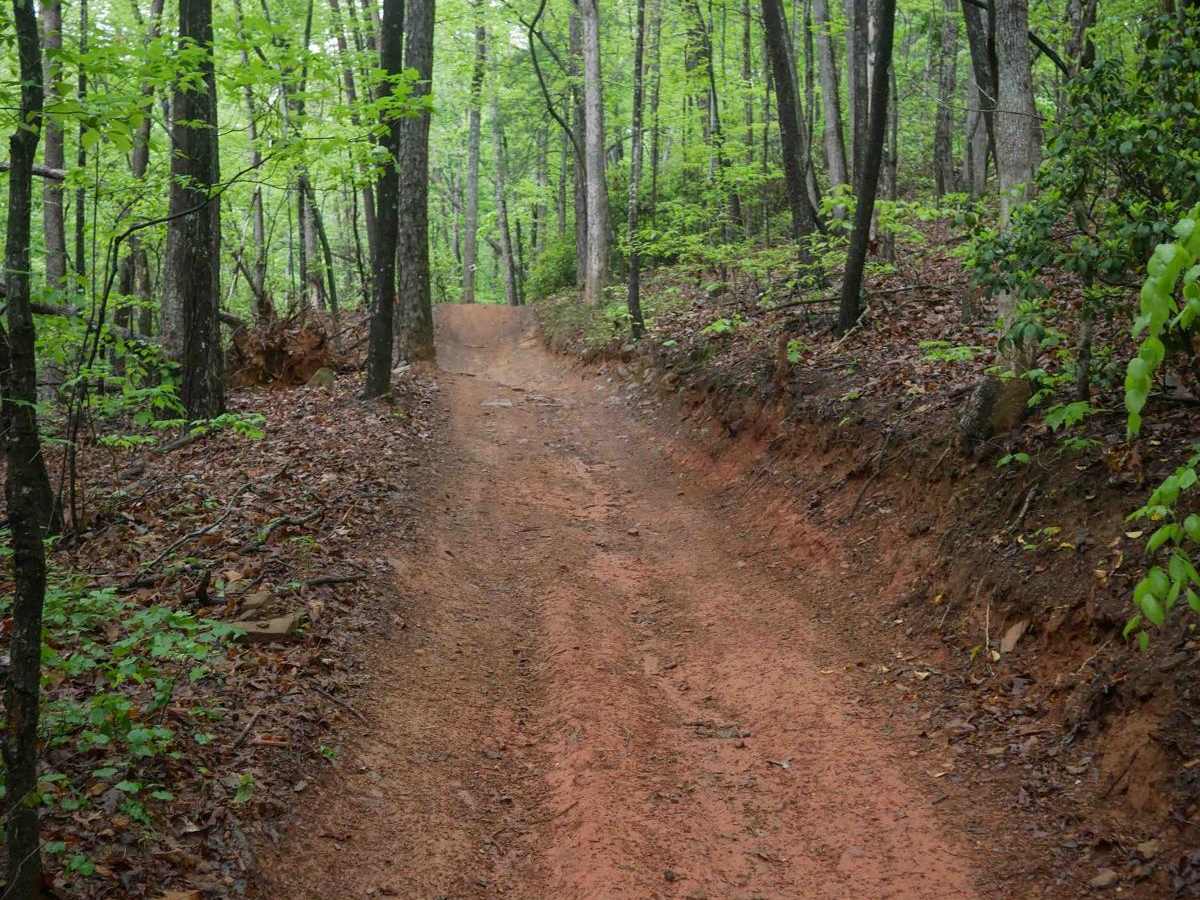 Youth Trail photo 5