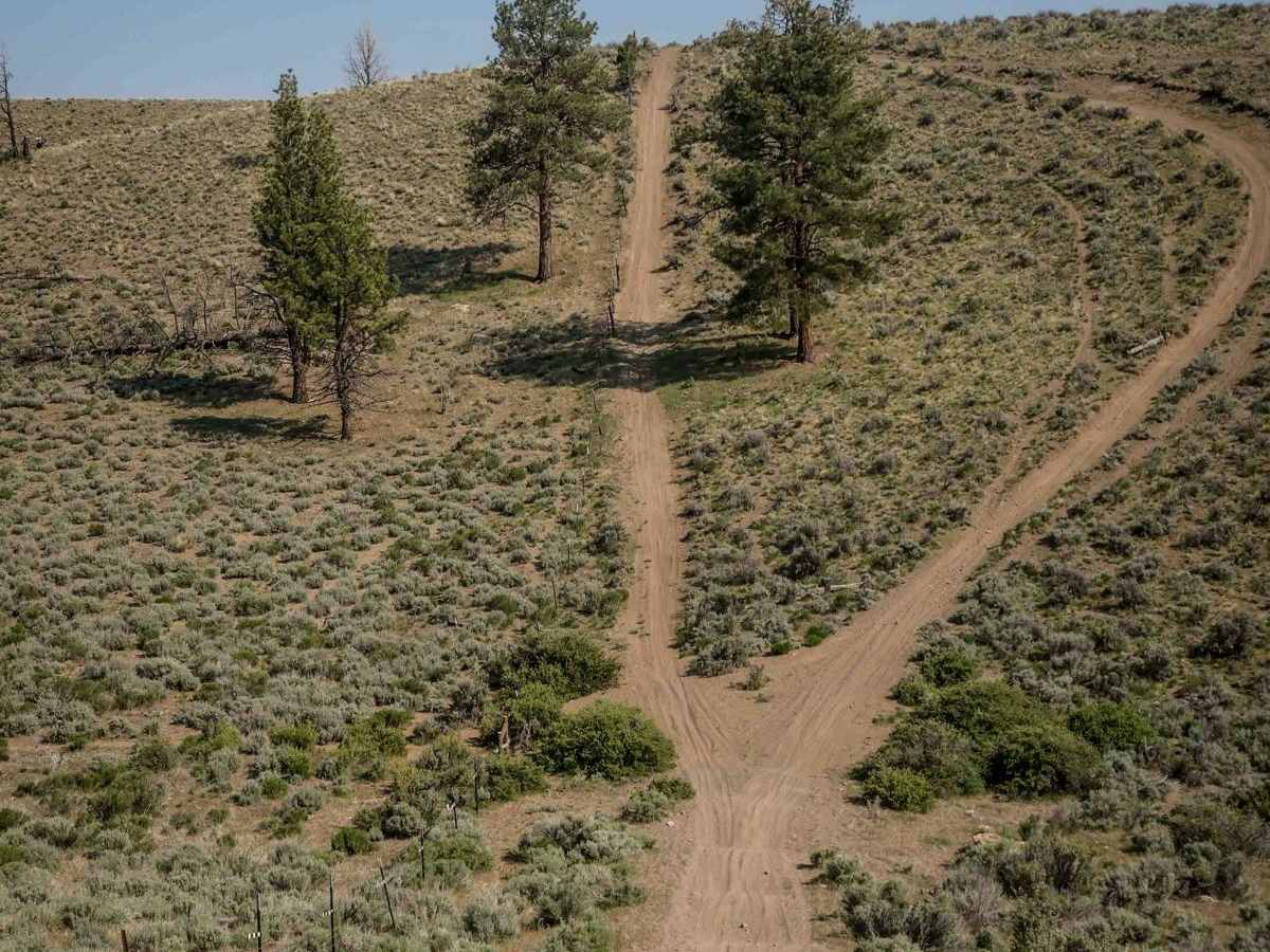 16 trail photo