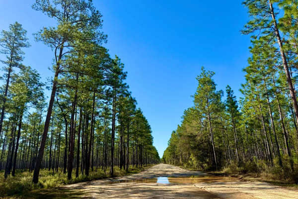 Buckhorn North - FS 360
