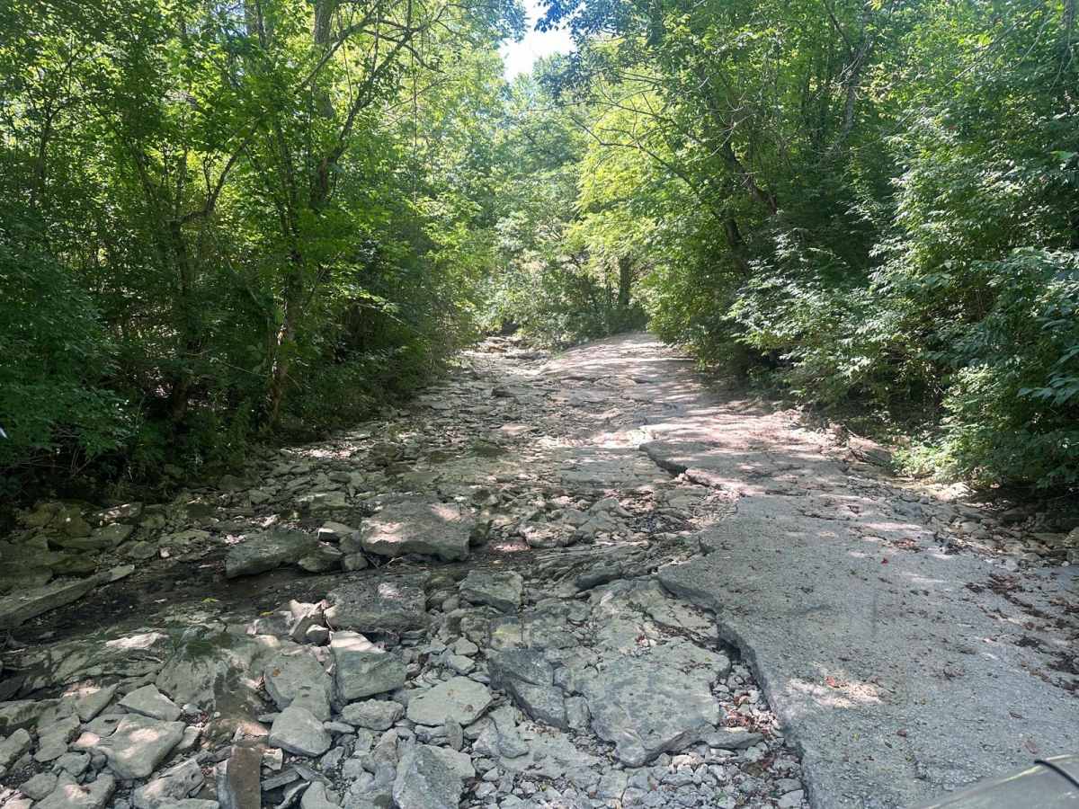 Jackson Branch Road photo 4