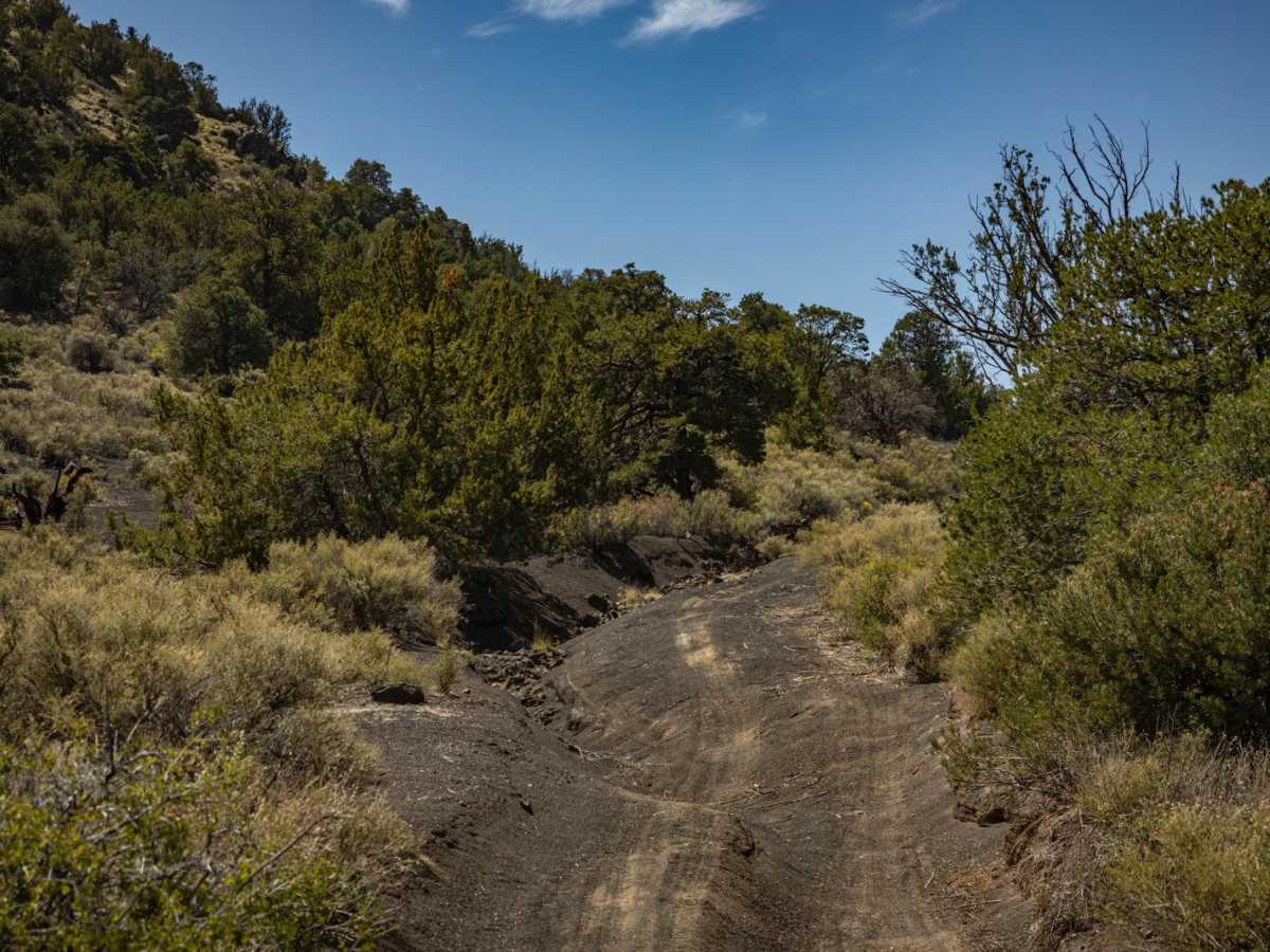 150 Actual trail photo