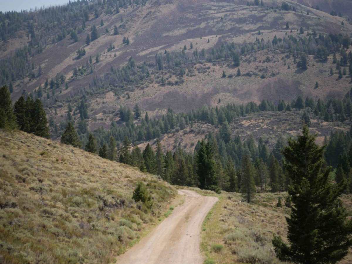 Challis Creek Road photo 5