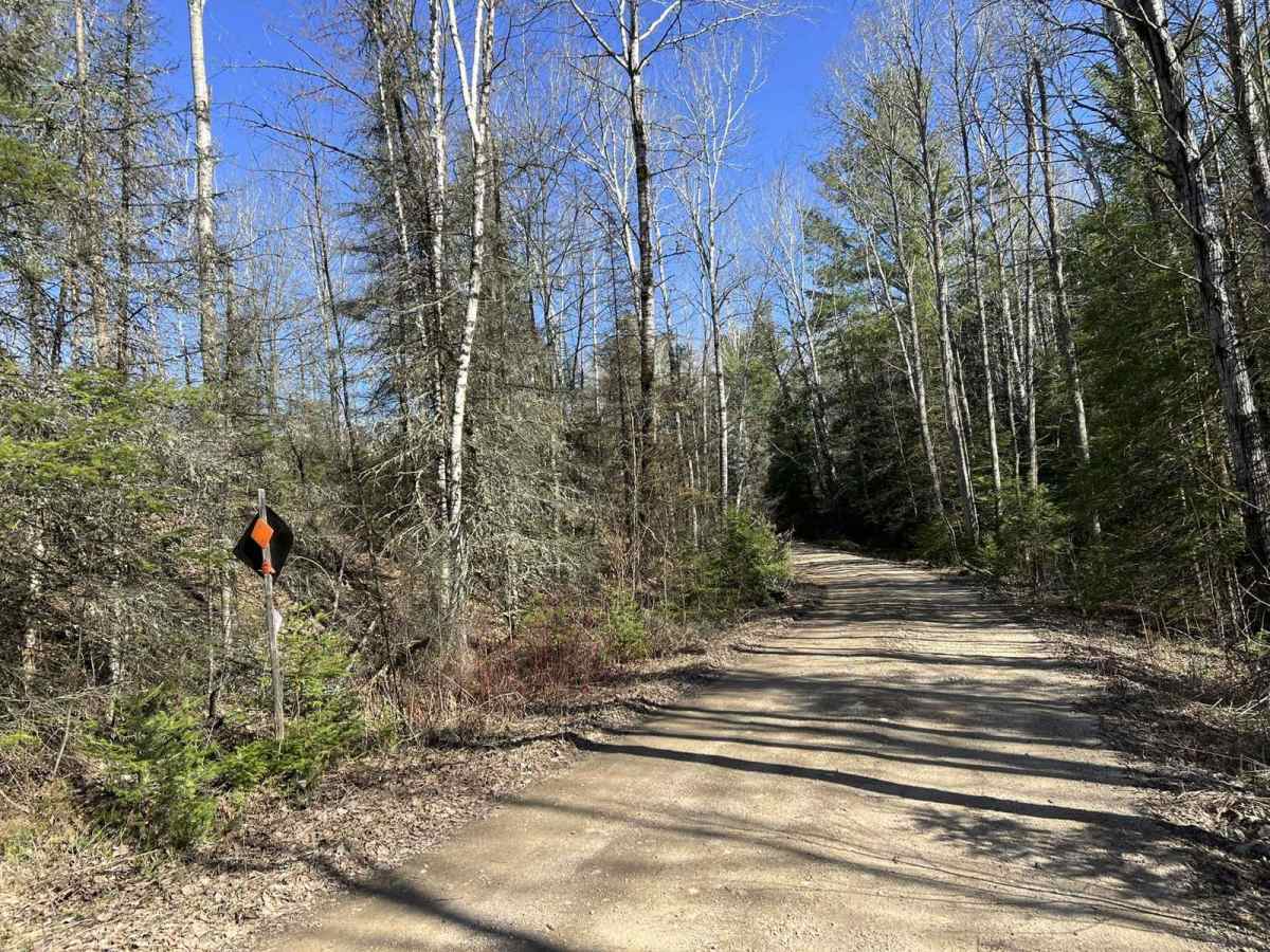 Norway Truck Trail Cassidy Creek Rd trail photo