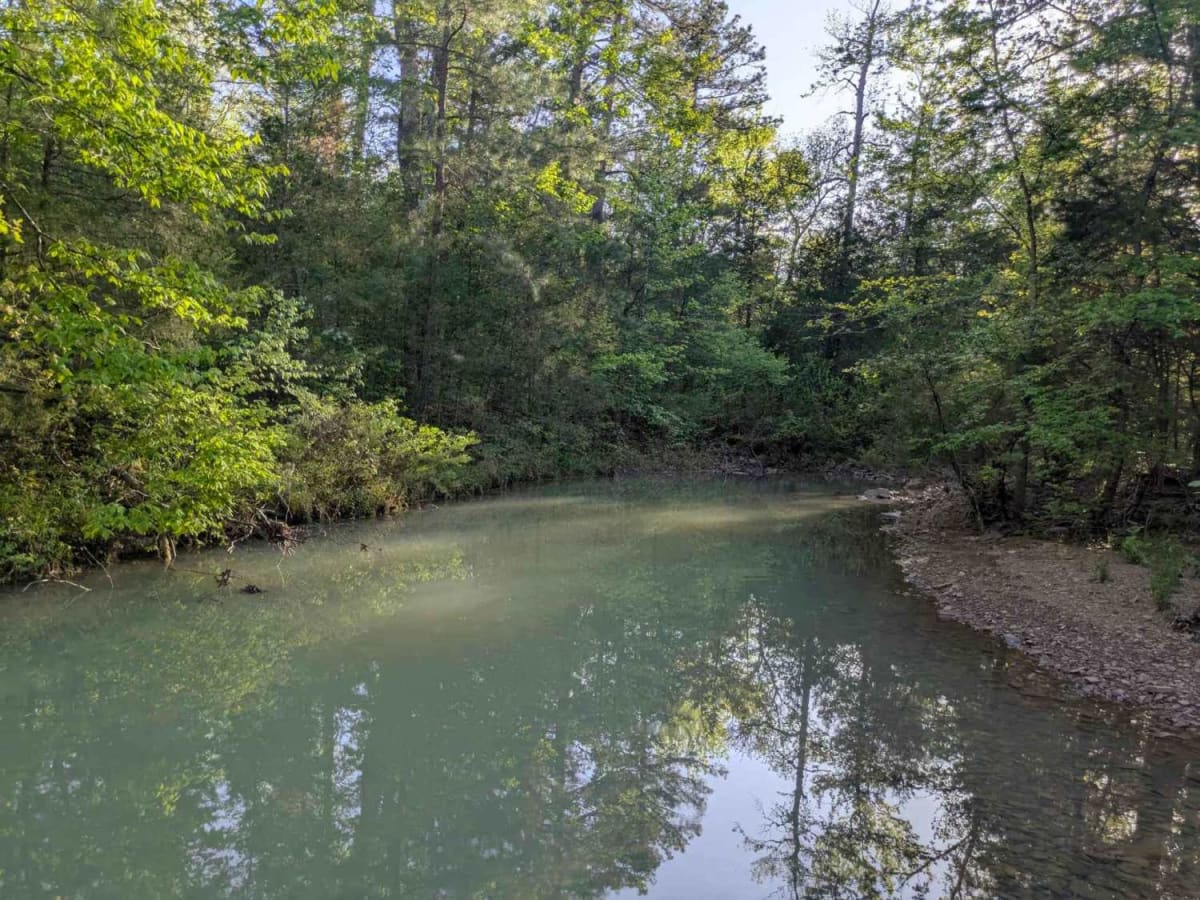Denton Creek Road photo 5