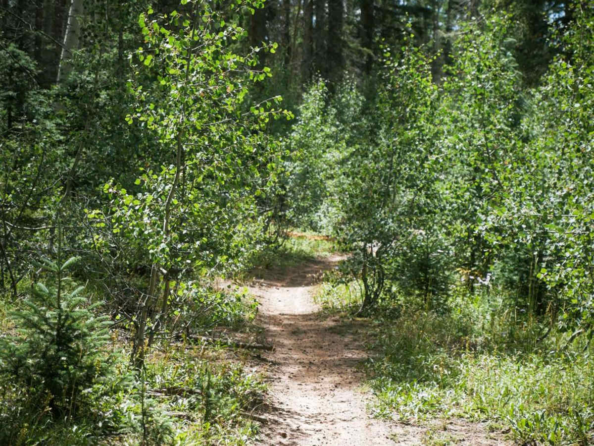Morrison Trail (Part 1) photo 4