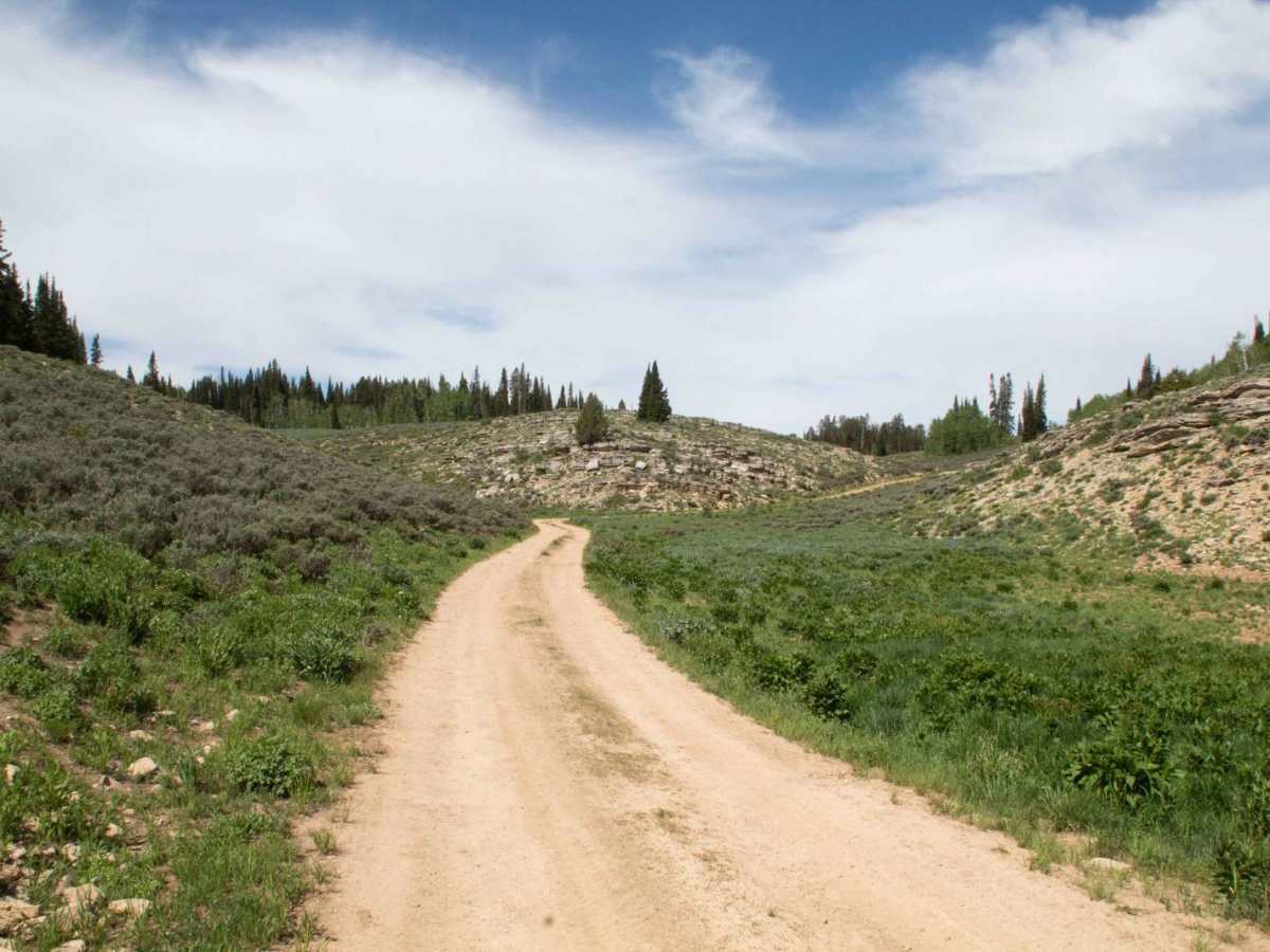 Davenport Hollow Road photo 6