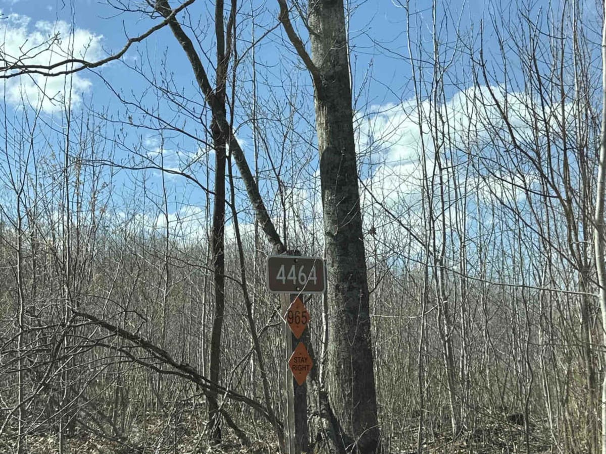 FS 4464 trail photo