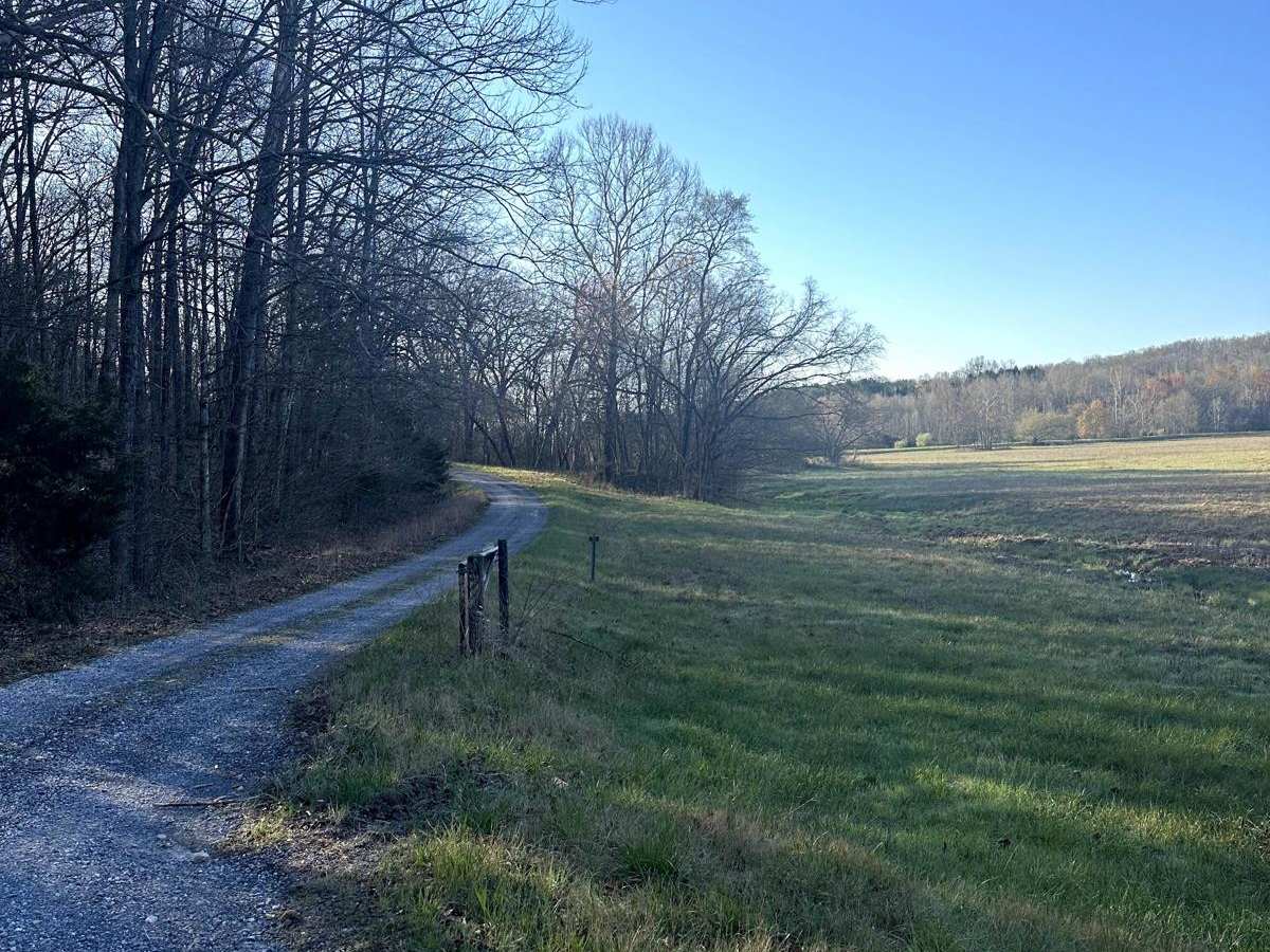 Long Creek Road trail photo