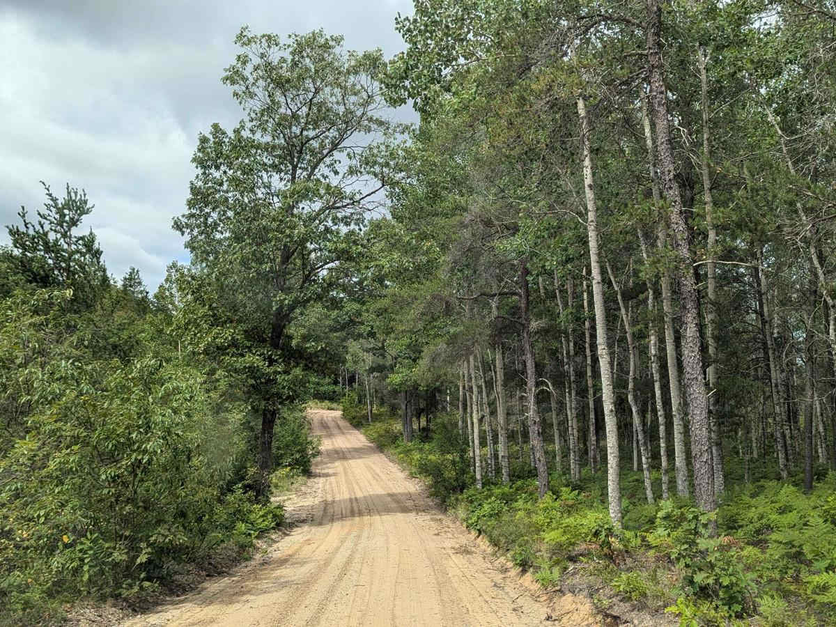Peltz Road photo 5