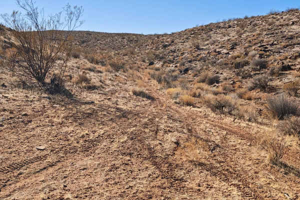 Flat Rock Canyon - Single Track