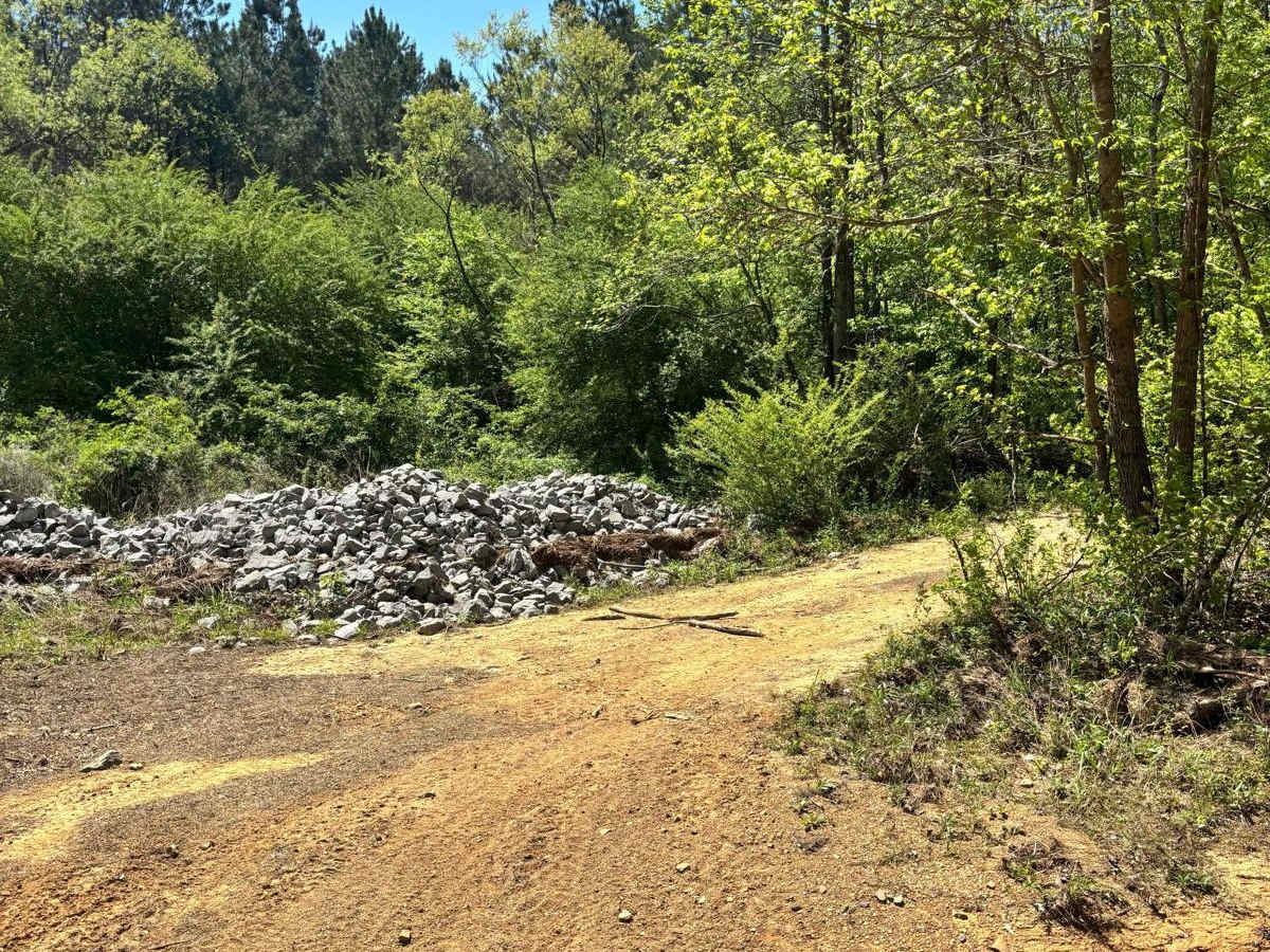 303 trail photo