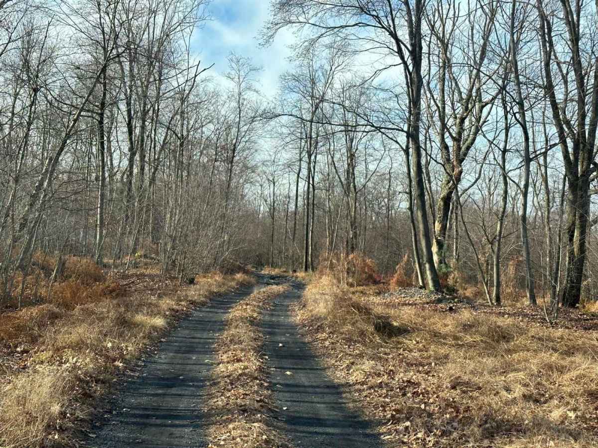 Talisman Access Trail photo 2