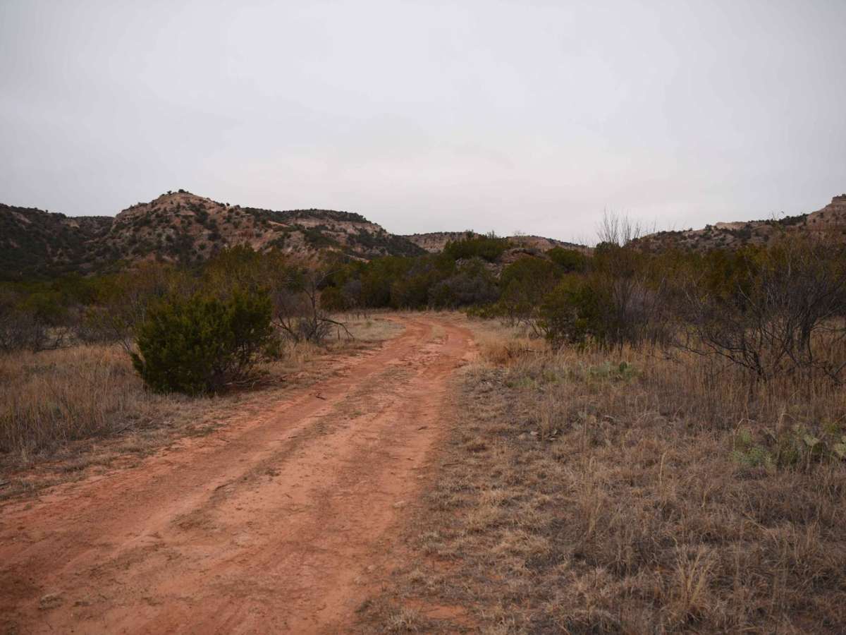 First Camp Trail photo 3