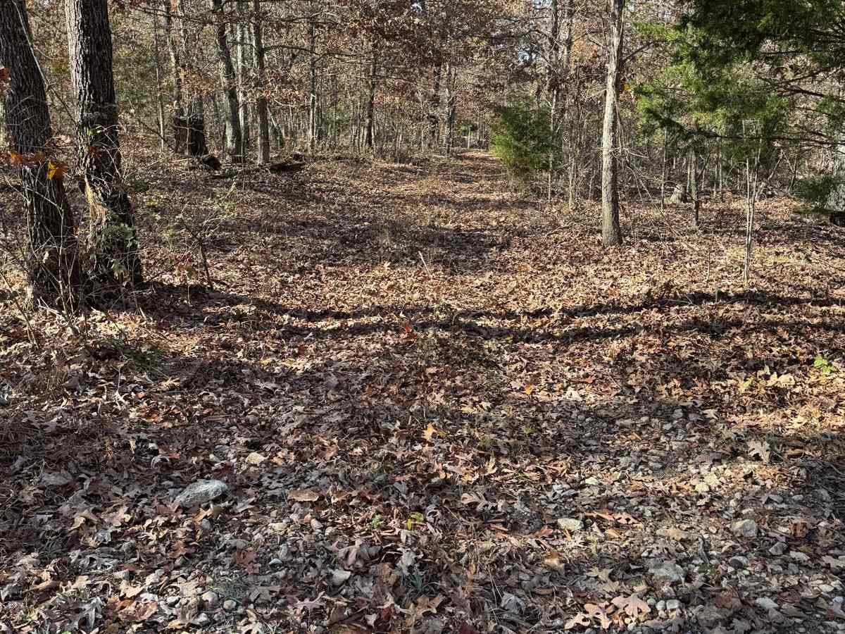 Green 172 trail photo