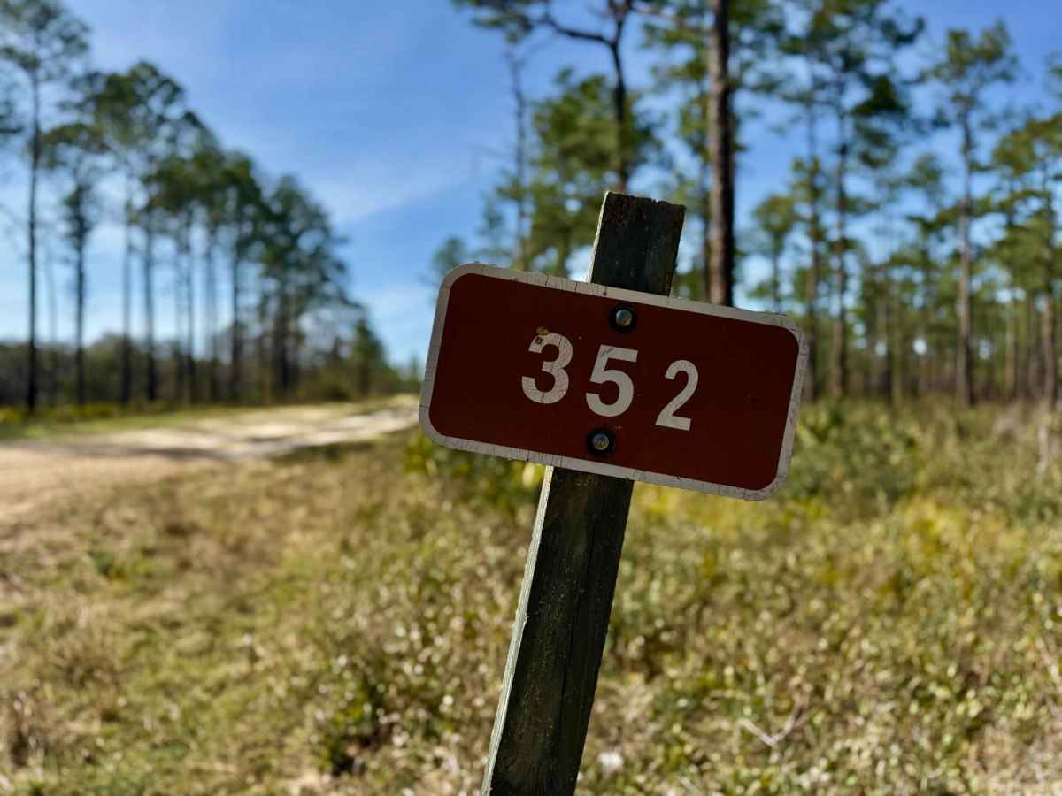 Lost Road 352 trail photo