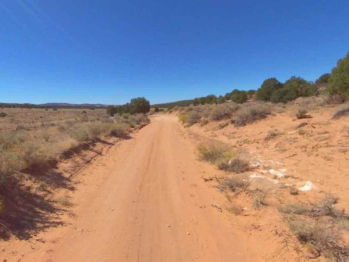 Beef Basin Road Loop - San Juan County B104 photo 3