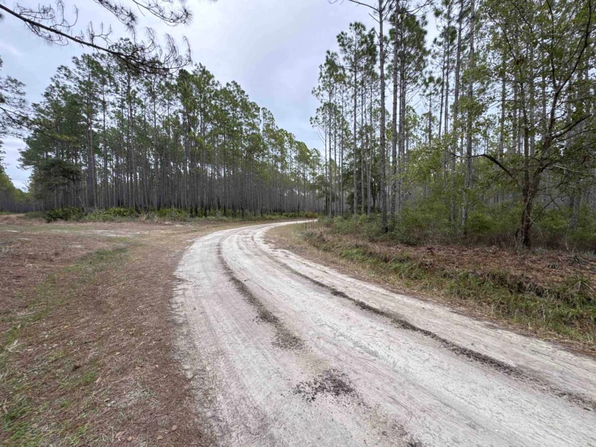 Crooked River Road photo 6