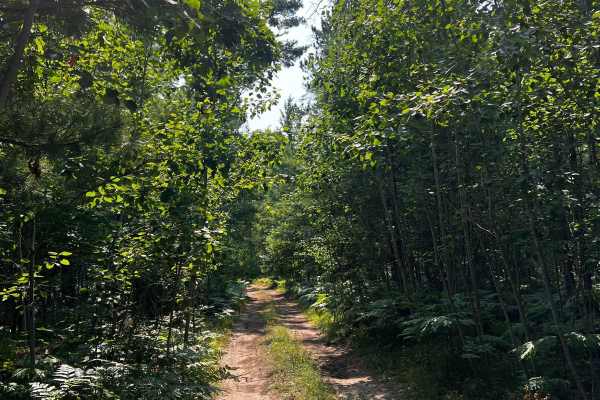 N 27 Trail