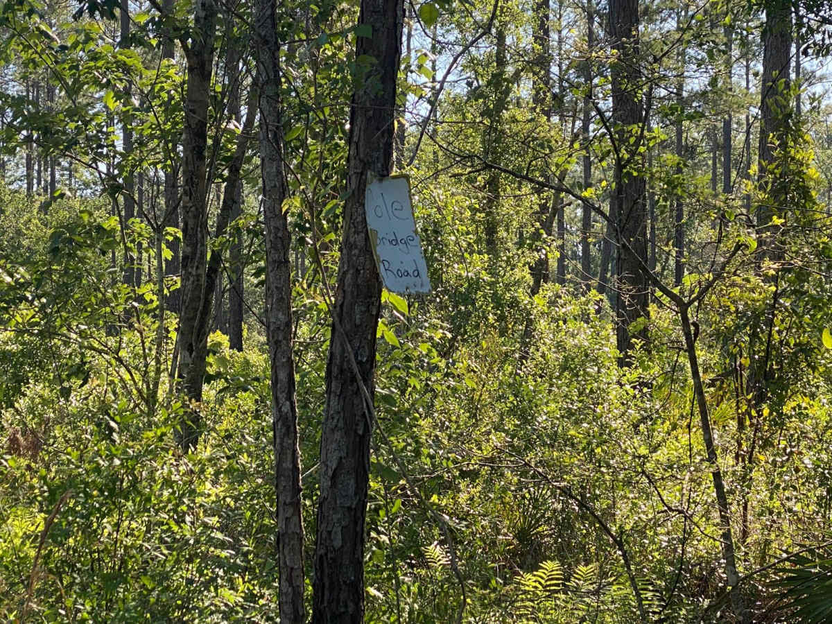 Pole Bridge Road trail photo