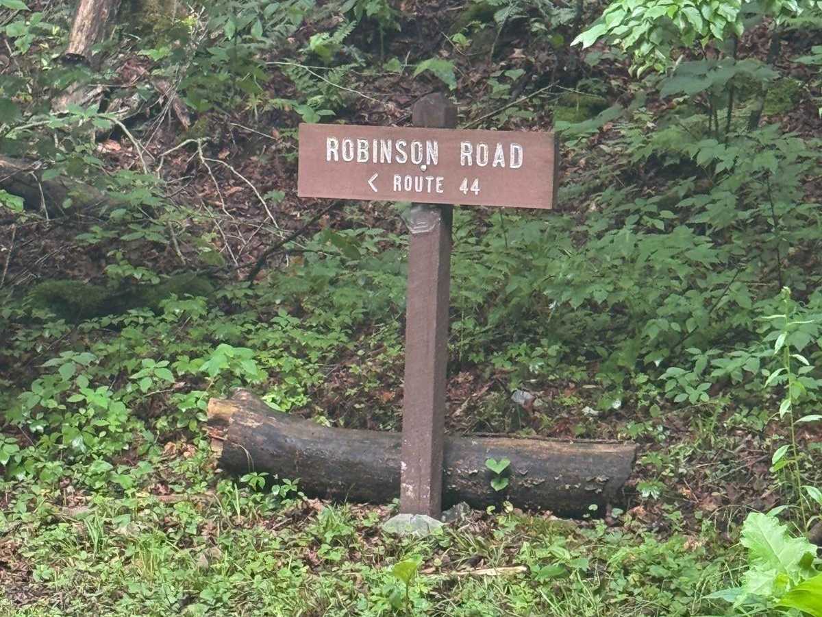 Robinson Road trail photo