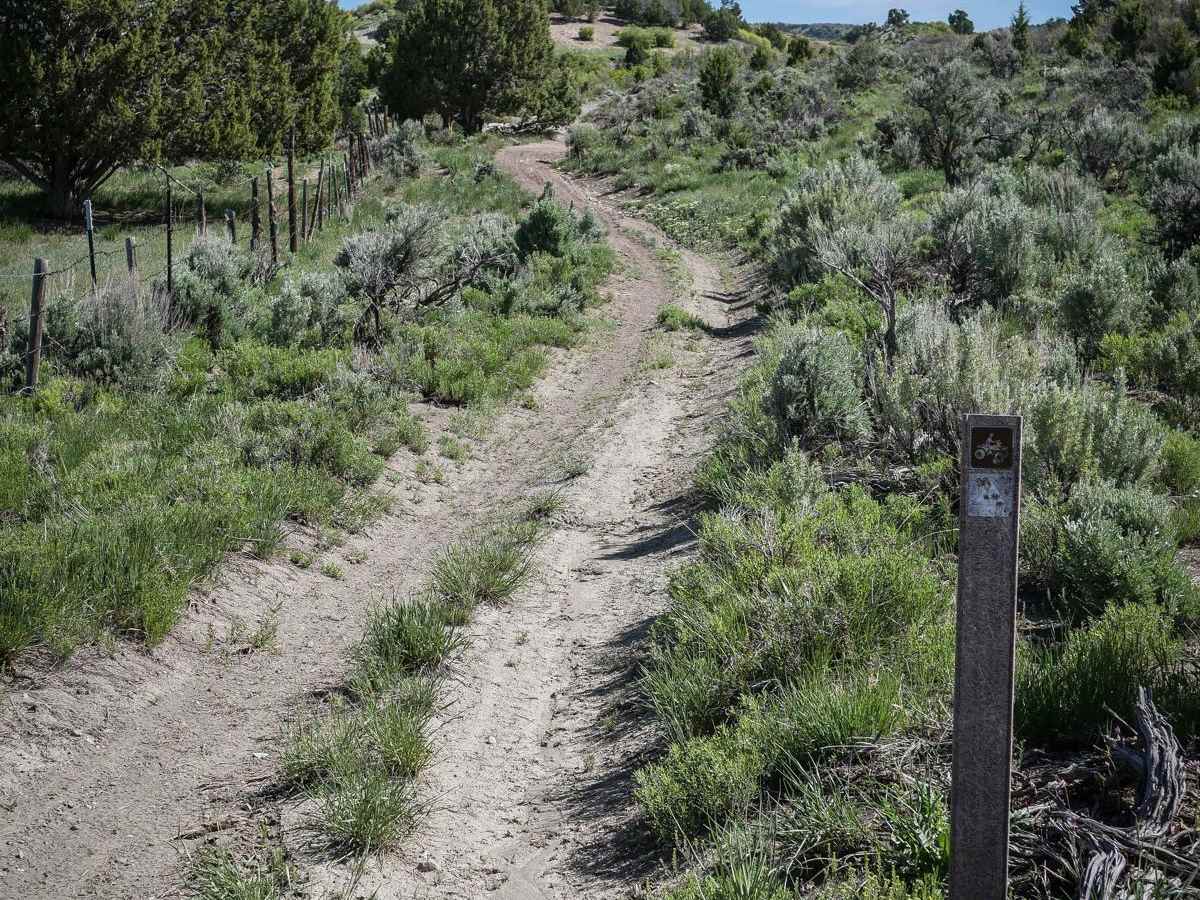 Sheep Creek Connector ATV Trail photo 2