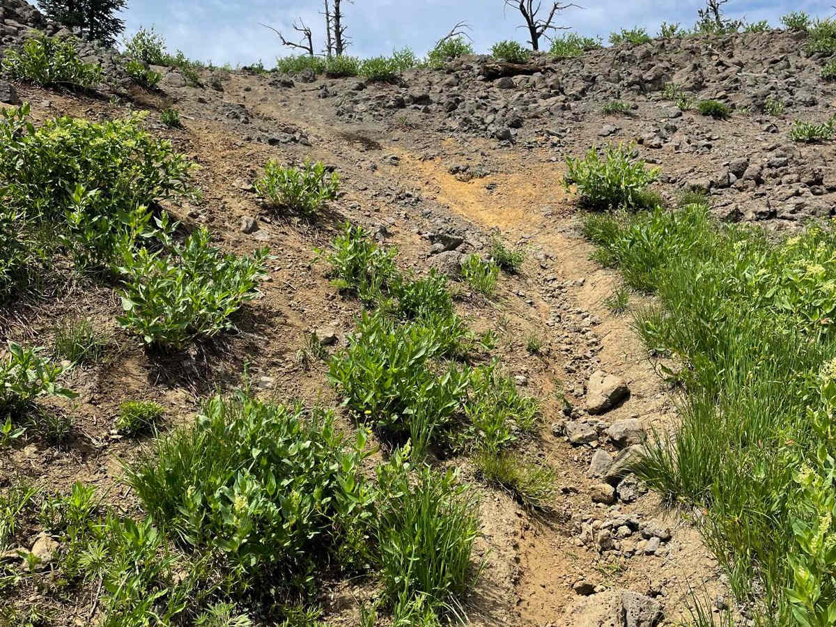 Clayburn Creek East photo 5