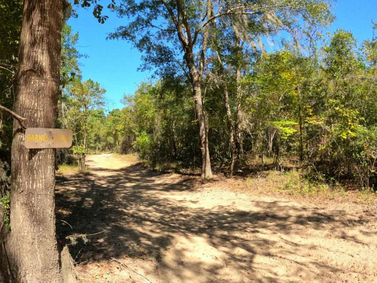 Barnes Road trail photo