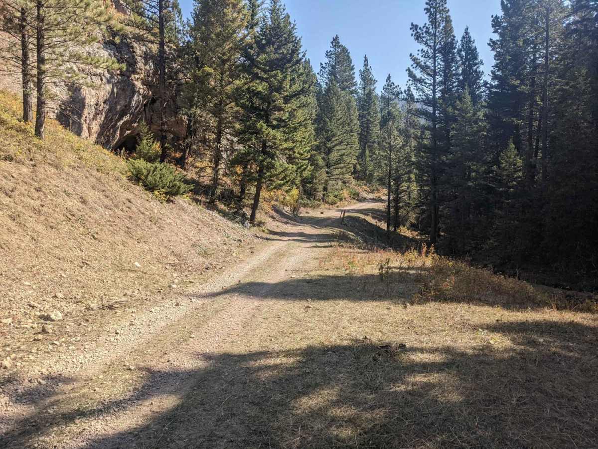 High Spring Creek photo 2