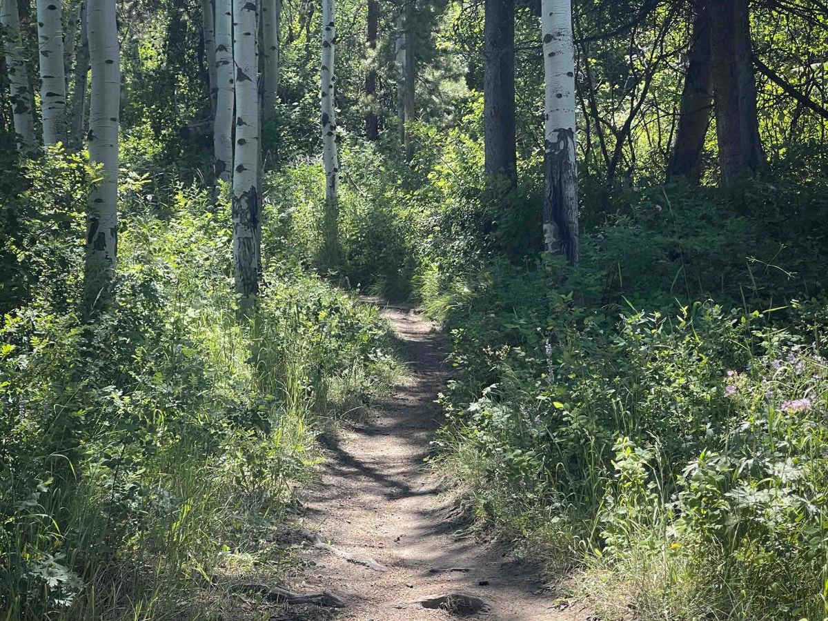 Squaw Creek photo 6