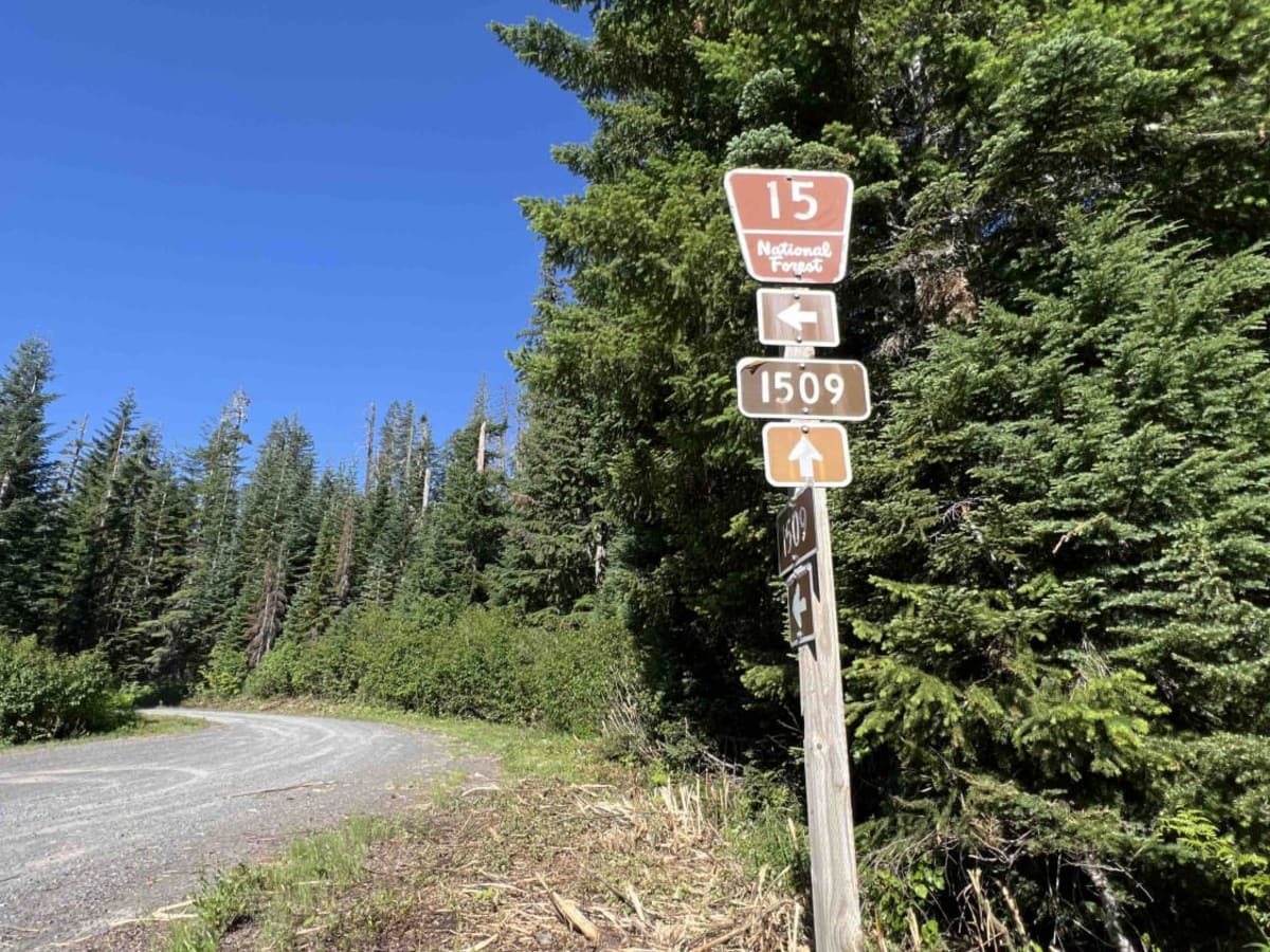 Bear Pass 1509 photo 2