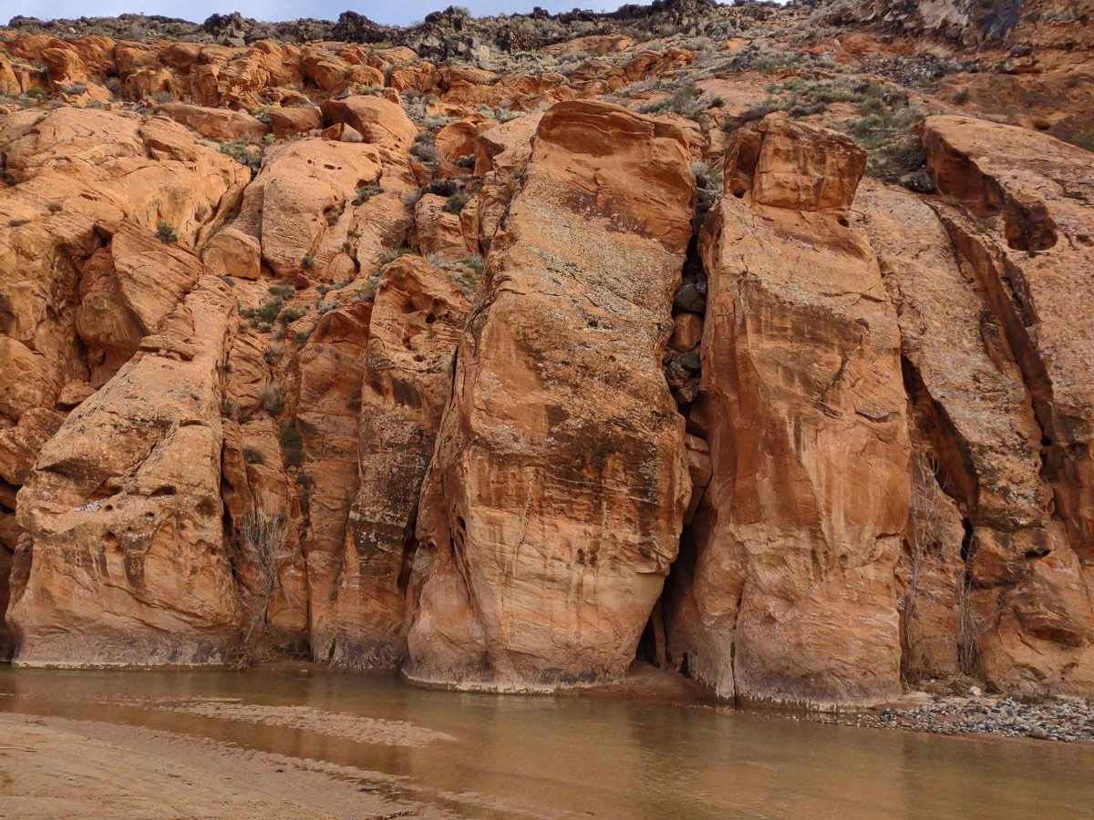 Red Cliffs Rec Area to Virgin River trail photo