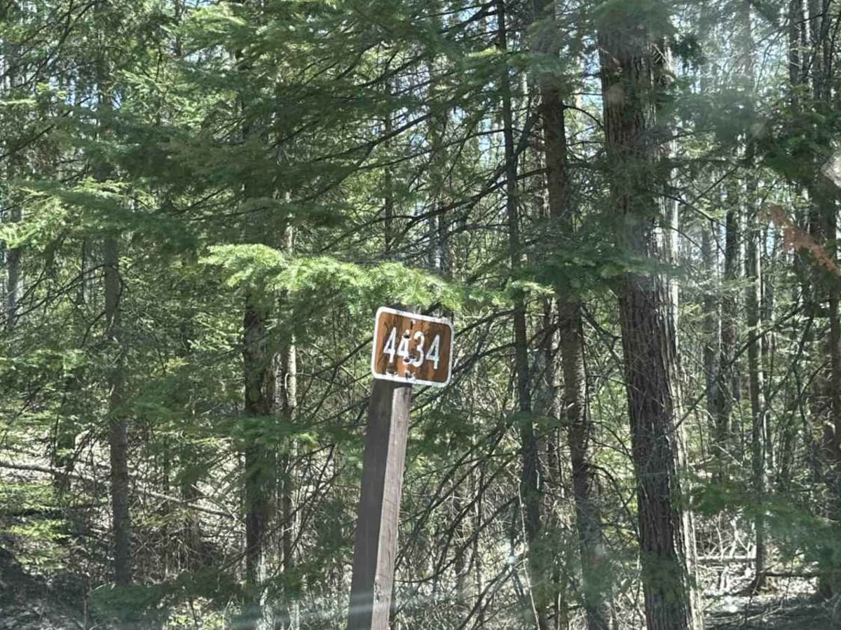 FS 4434 trail photo
