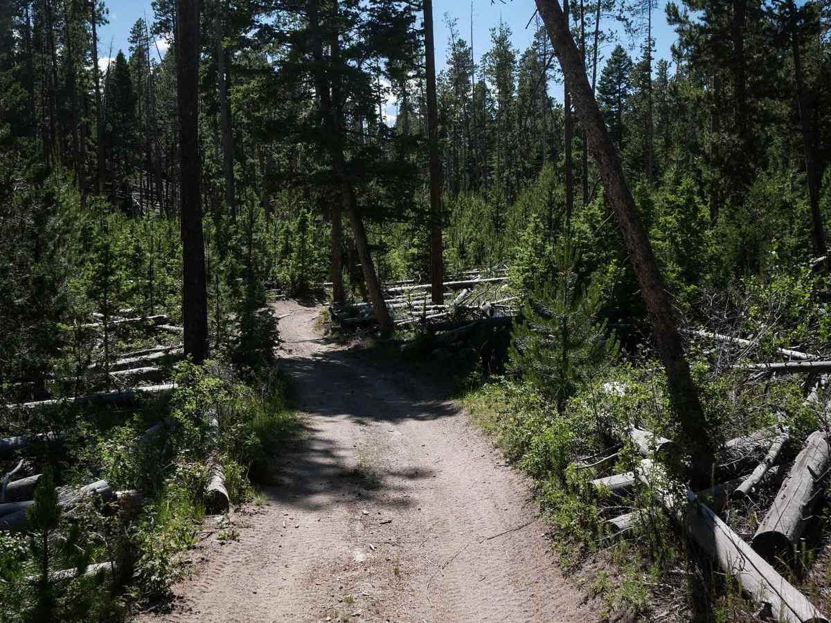 Canyon ATV Trail photo 5