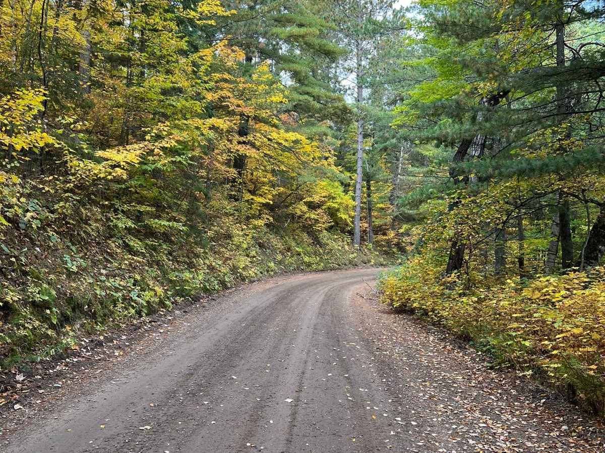 Paul Bunyan West Steamboat Forest Road photo 5