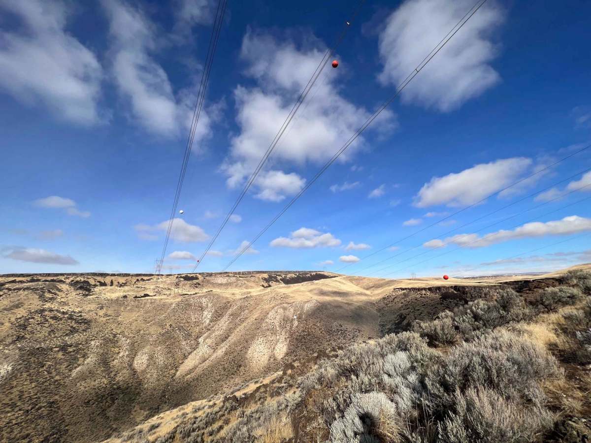 Glenn's Grassy Ascent trail photo