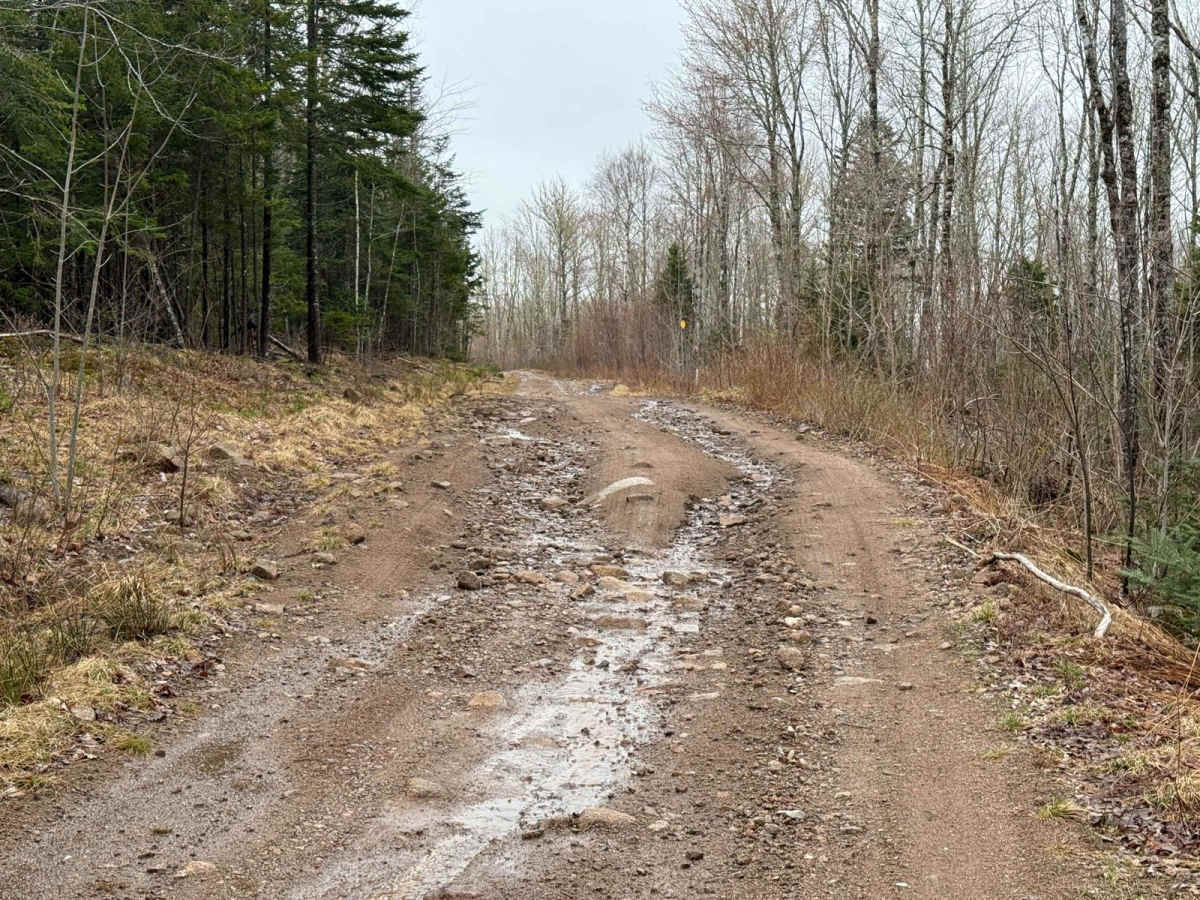 Route 50 photo 5