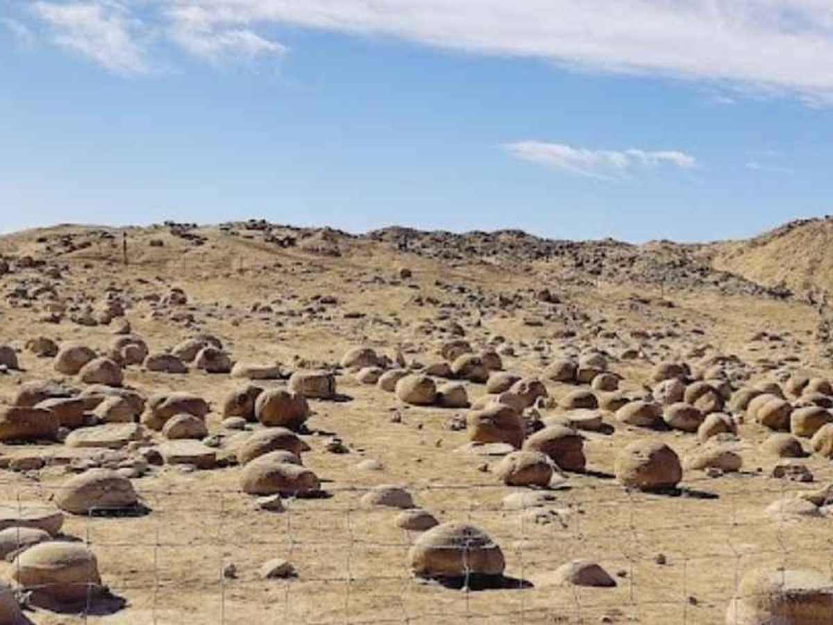 Tule Wash trail photo