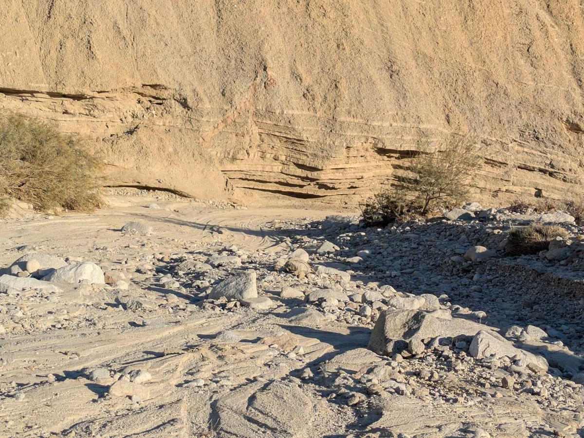 Lycium Wash photo 5