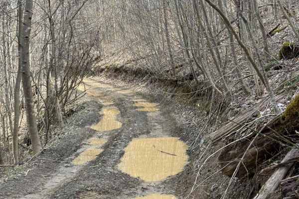 Trail 6