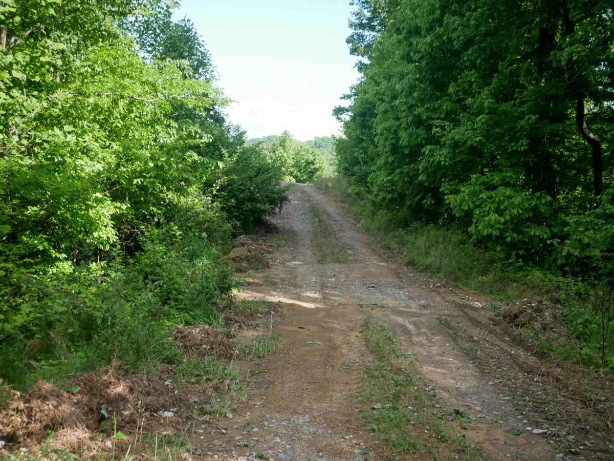 RV31 photo 4