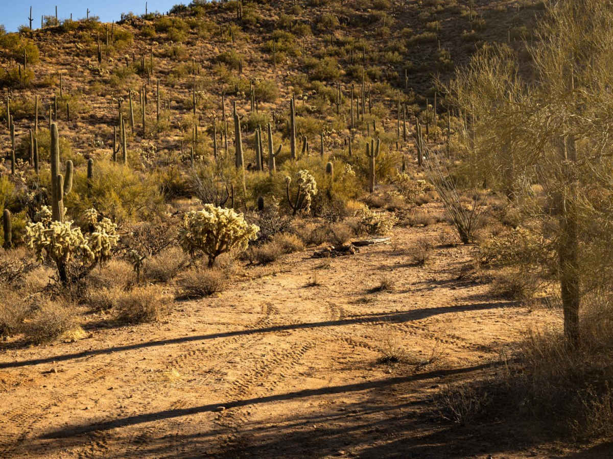Junction to Middle Mountain photo 6