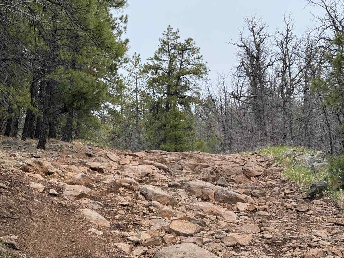 Trail 57 photo 5