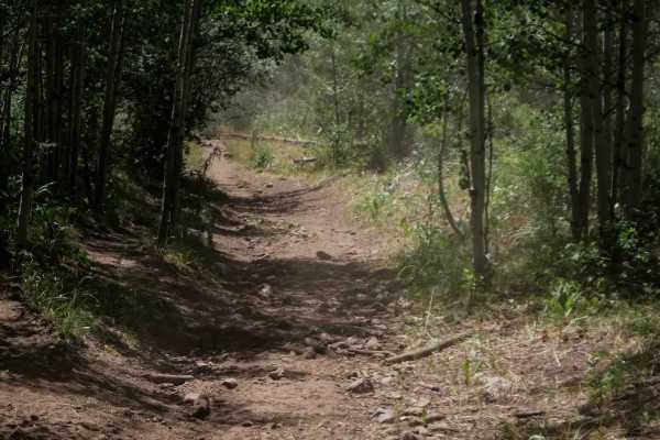 Petterson Canyon #5232
