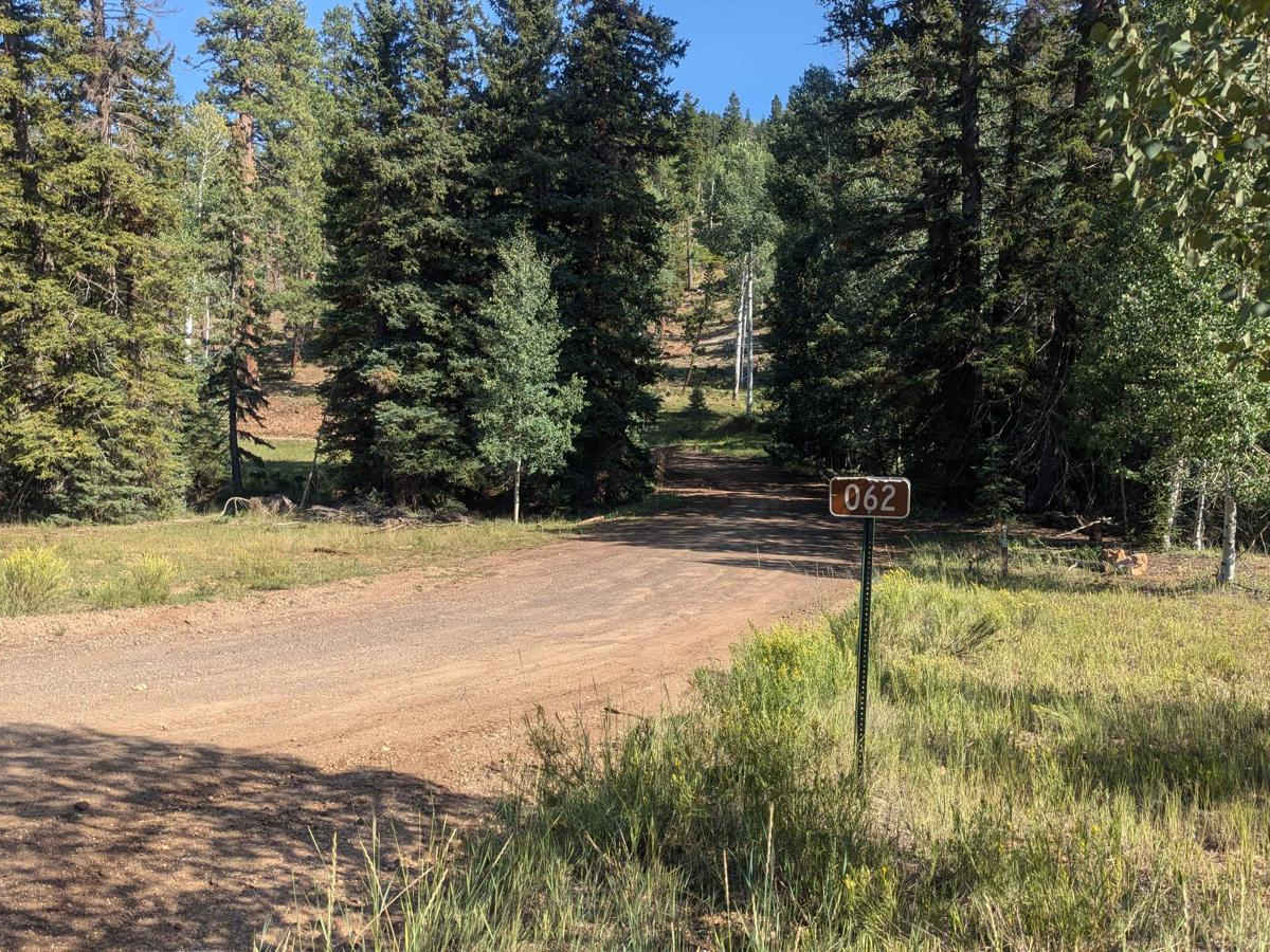 Stout Canyon Road photo 5