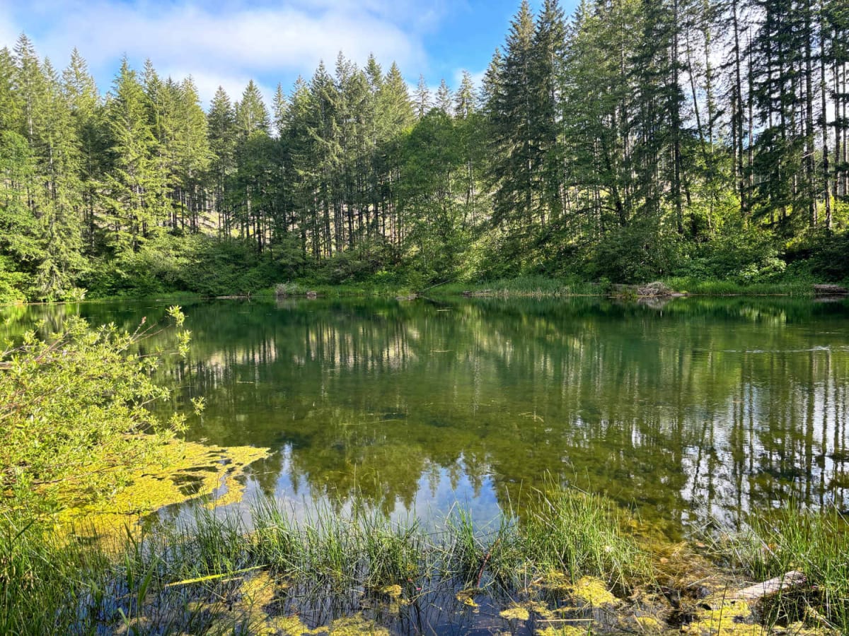 Dovre Peak to Tahoe Lake trail photo