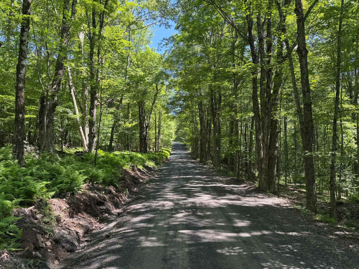 Townsend Hollow Road photo 4