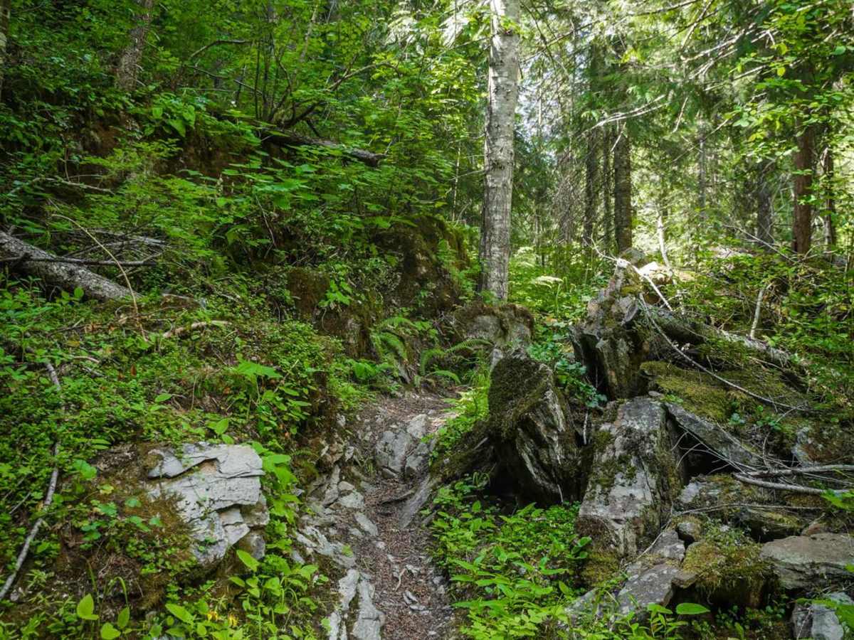 Kyle Creek trail photo