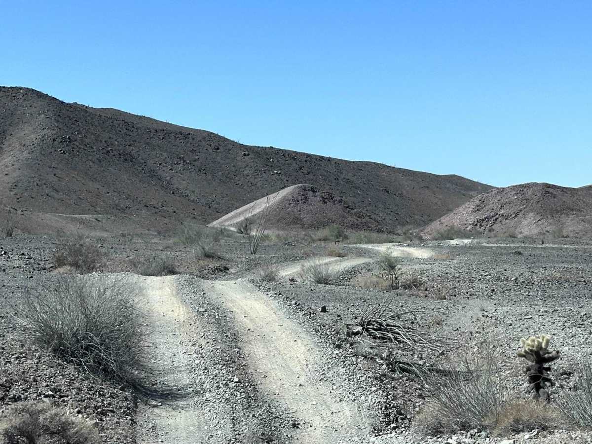 LCR1842 photo 6