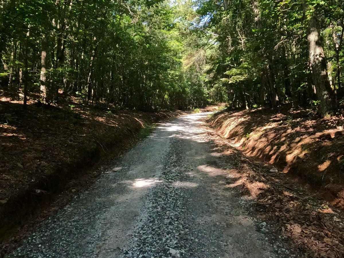 Locust Stake Road photo 3