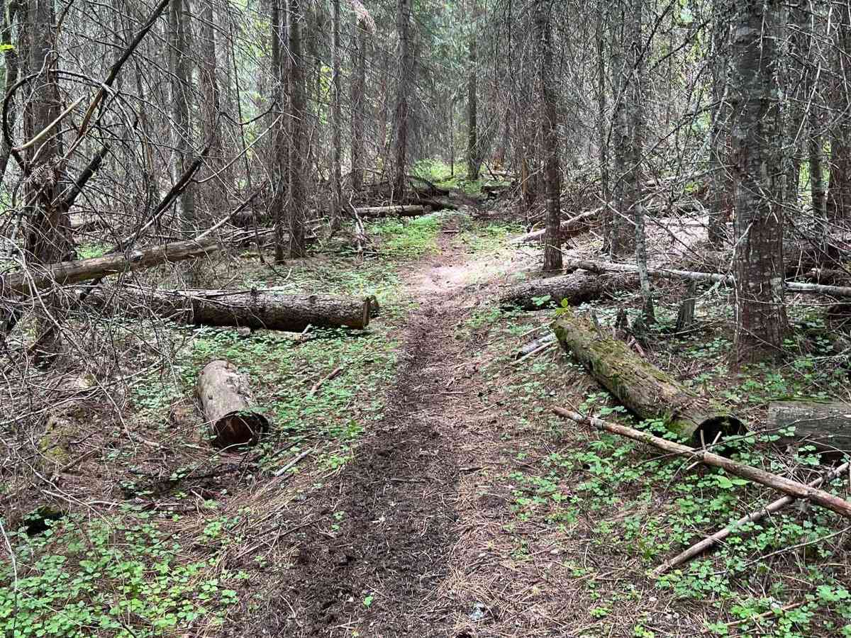 Mill Creek photo 2